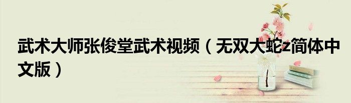 武术大师张俊堂武术视频（无双大蛇z简体中文版）