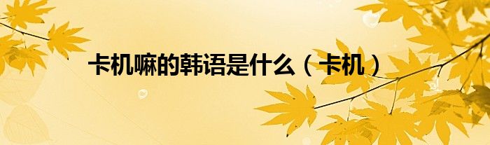 卡机嘛的韩语是什么（卡机）