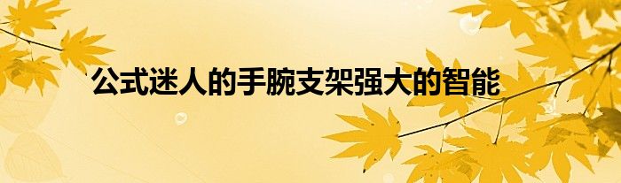 公式迷人的手腕支架强大的智能