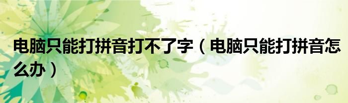 电脑只能打拼音打不了字（电脑只能打拼音怎么办）
