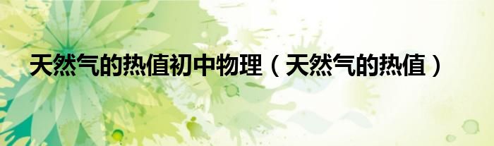天然气的热值初中物理（天然气的热值）