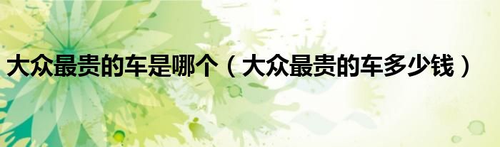 大众最贵的车是哪个（大众最贵的车多少钱）