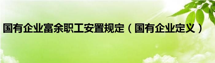国有企业富余职工安置规定（国有企业定义）