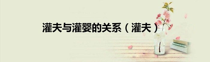灌夫与灌婴的关系（灌夫）