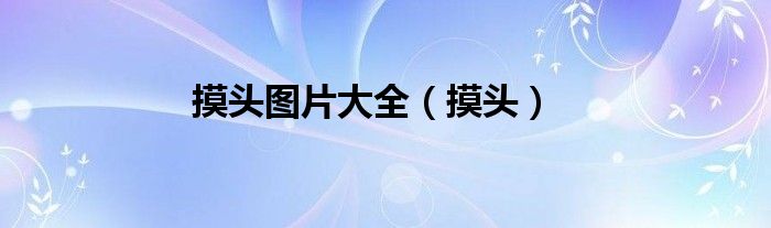 摸头图片大全（摸头）