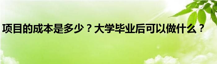 项目的成本是多少？大学毕业后可以做什么？