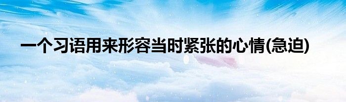 一个习语用来形容当时紧张的心情(急迫)