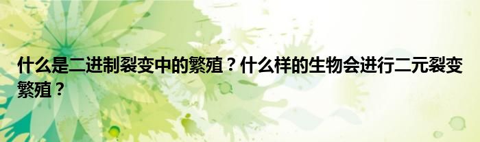 什么是二进制裂变中的繁殖？什么样的生物会进行二元裂变繁殖？