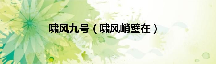 啸风九号（啸风峭壁在）
