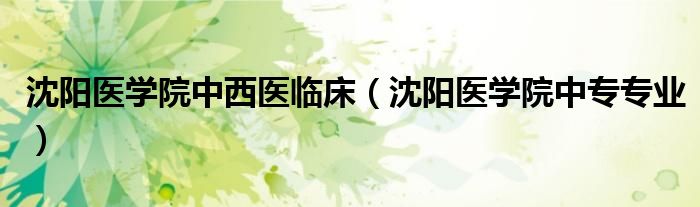 沈阳医学院中西医临床（沈阳医学院中专专业）