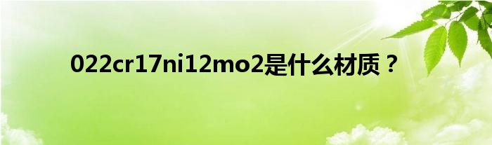 022cr17ni12mo2是什么材质？