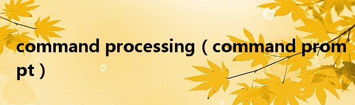 command processing（command prompt）