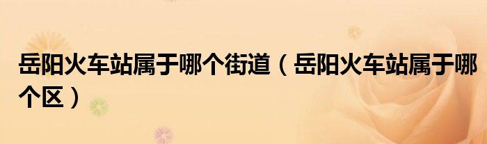 岳阳火车站属于哪个街道（岳阳火车站属于哪个区）