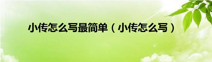 小传怎么写最简单（小传怎么写）
