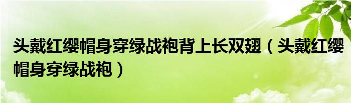 头戴红缨帽身穿绿战袍背上长双翅（头戴红缨帽身穿绿战袍）