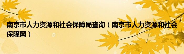 南京市人力资源和社会保障局查询（南京市人力资源和社会保障网）