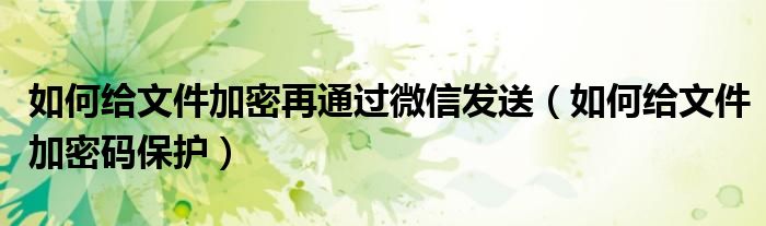如何给文件加密再通过微信发送（如何给文件加密码保护）