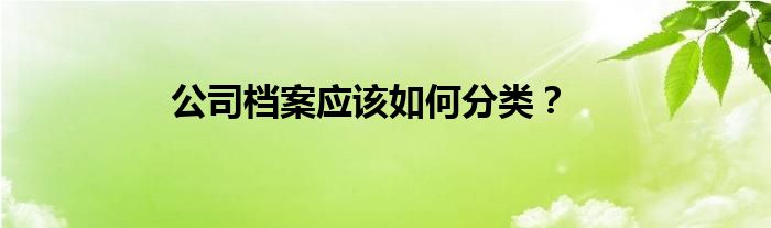 公司档案应该如何分类？
