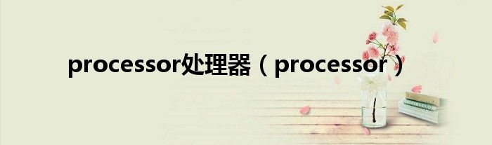 processor处理器（processor）