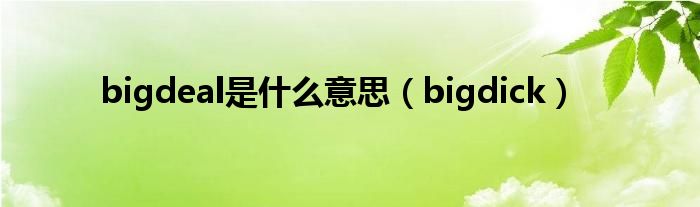 bigdeal是什么意思（bigdick）