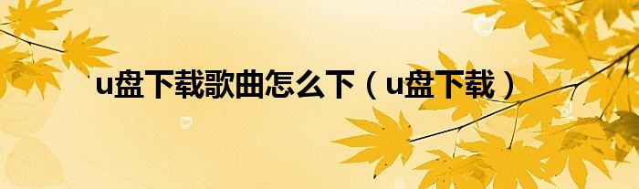 u盘下载歌曲怎么下（u盘下载）