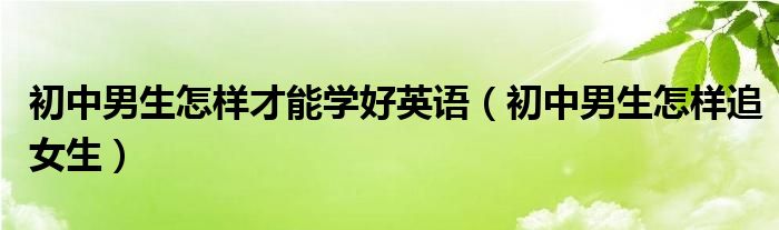 初中男生怎样才能学好英语（初中男生怎样追女生）