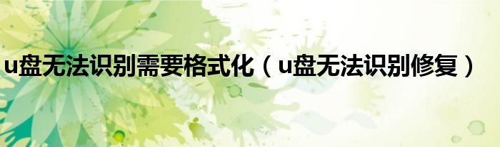 u盘无法识别需要格式化（u盘无法识别修复）
