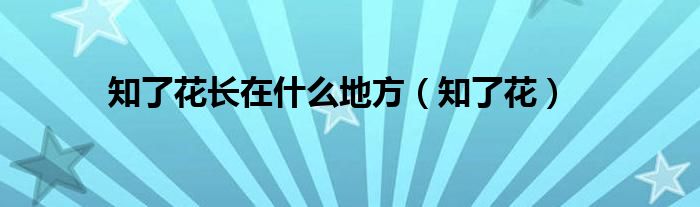 知了花长在什么地方（知了花）