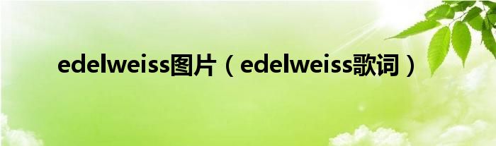 edelweiss图片（edelweiss歌词）