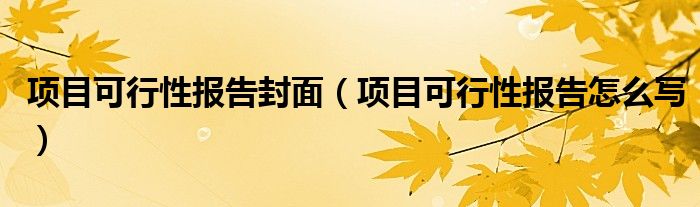 项目可行性报告封面（项目可行性报告怎么写）
