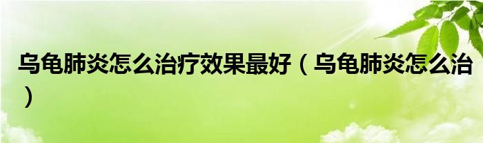 乌龟肺炎怎么治疗效果最好（乌龟肺炎怎么治）