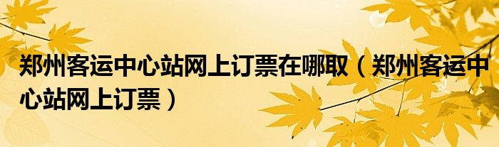 郑州客运中心站网上订票在哪取（郑州客运中心站网上订票）