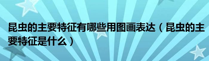 昆虫的主要特征有哪些用图画表达（昆虫的主要特征是什么）