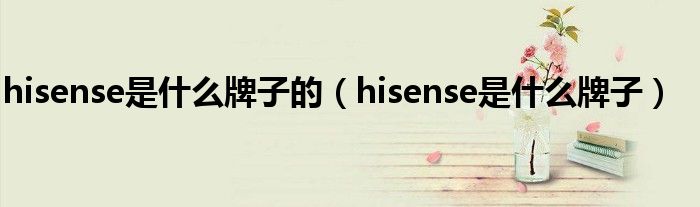 hisense是什么牌子的（hisense是什么牌子）