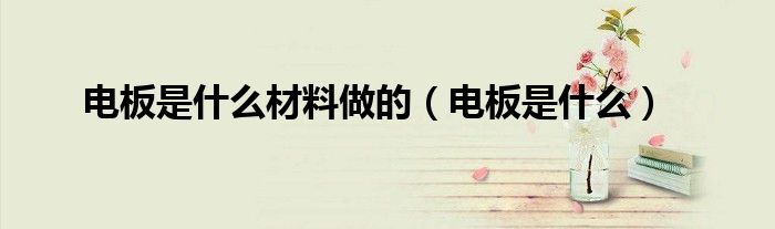 电板是什么材料做的（电板是什么）