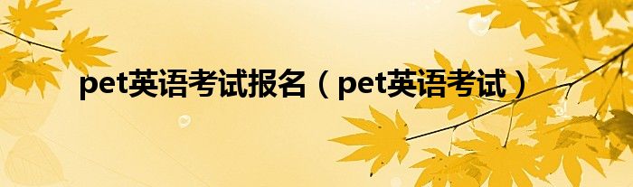 pet英语考试报名（pet英语考试）