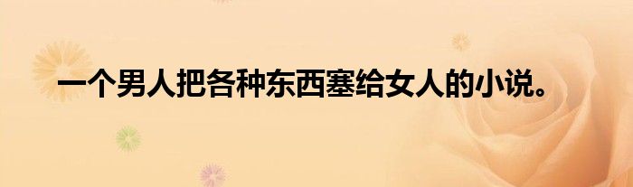 一个男人把各种东西塞给女人的小说。