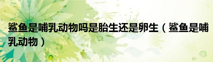 鲨鱼是哺乳动物吗是胎生还是卵生（鲨鱼是哺乳动物）
