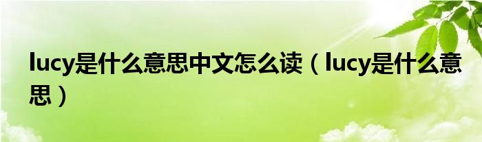 lucy是什么意思中文怎么读（lucy是什么意思）