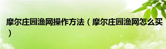 摩尔庄园渔网操作方法（摩尔庄园渔网怎么买）