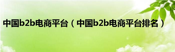 中国b2b电商平台（中国b2b电商平台排名）