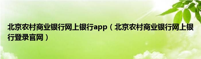 北京农村商业银行网上银行app（北京农村商业银行网上银行登录官网）