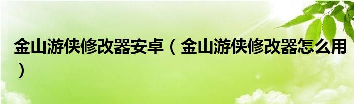 金山游侠修改器安卓（金山游侠修改器怎么用）