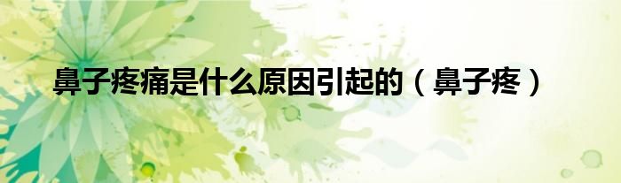 鼻子疼痛是什么原因引起的（鼻子疼）
