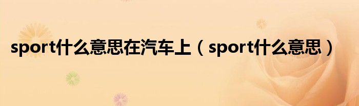 sport什么意思在汽车上（sport什么意思）