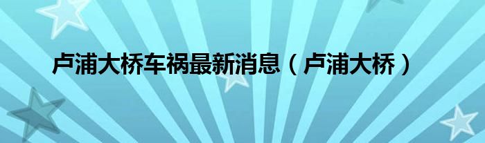 卢浦大桥车祸最新消息（卢浦大桥）