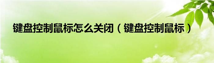 键盘控制鼠标怎么关闭（键盘控制鼠标）