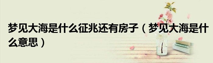 梦见大海是什么征兆还有房子（梦见大海是什么意思）