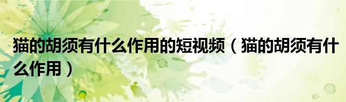 猫的胡须有什么作用的短视频（猫的胡须有什么作用）