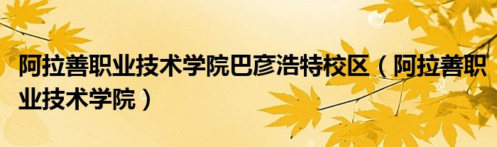 阿拉善职业技术学院巴彦浩特校区（阿拉善职业技术学院）